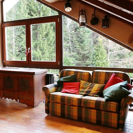 Fewo Schwarzwaldblick, 3 Schlafzimmer Todtnau-Muggenbrunn, Liftverbund Feldberg Exterior foto